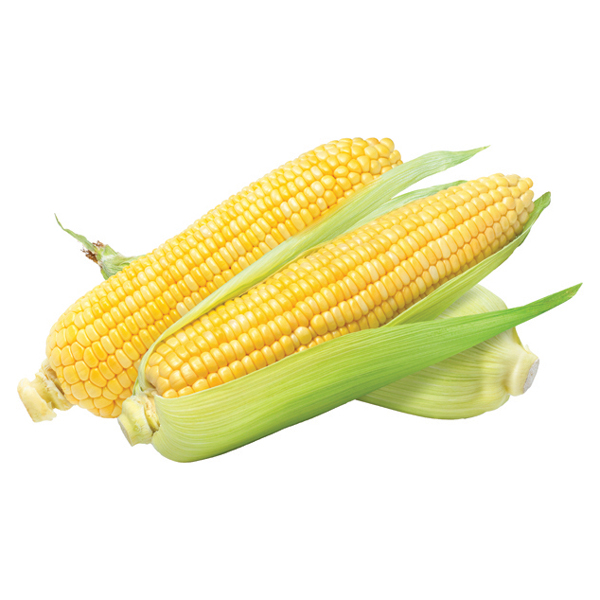 FRESH Butter and Sugar Corn | Big Y